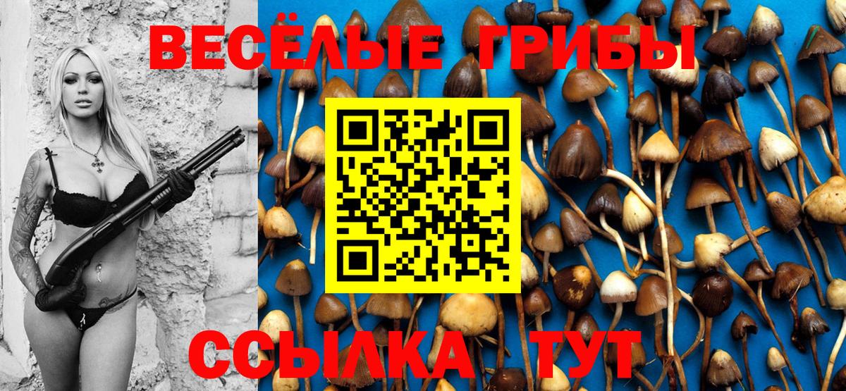 Коломна  Псилоцибиновые грибы ЛСД  Вход с VPN  Псилоцибиновые грибы прущие грибы 